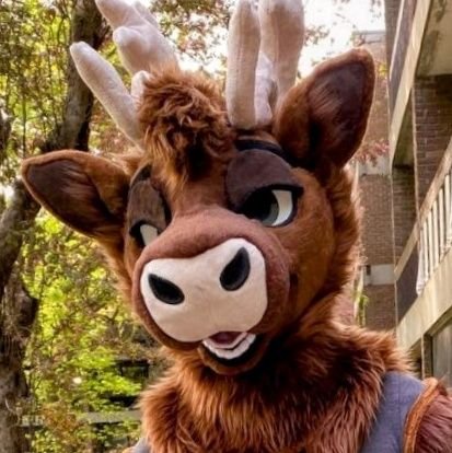 He/Him, 25. Both Caribou and Highland Bull. Fursuits by ScarletWings Fursuits, and cosmicbatsuits / LuckyGriffin