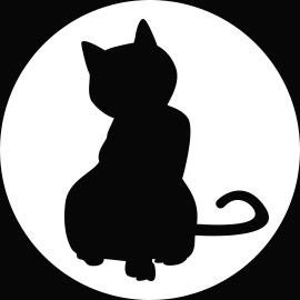 sgs201603's profile picture. 