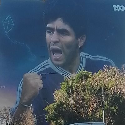NaserFernando's profile picture. fanatico de mis hijos lo que construí.