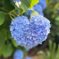 有希人 (@jn3v4hlbkh4xv9j) 's Twitter Profile