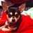 lazy_maisy's profile image