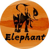 Elephant(@Elephant_HBS) 's Twitter Profile Photo