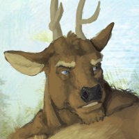 Big Durr Moment(@Pacific_Coyote) 's Twitter Profile Photo