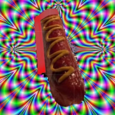 hotdog_bro's profile picture. hi im hot dog (banned on venmo) | https://t.co/M5lE5swkHi