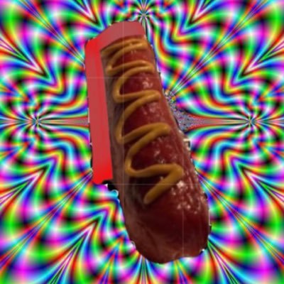 hi im hot dog (banned on venmo) | https://t.co/M5lE5swkHi