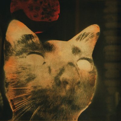 toxoplasmamorii Profile Picture