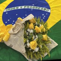 100 % Brasileira (@megpatriota) 's Twitter Profile