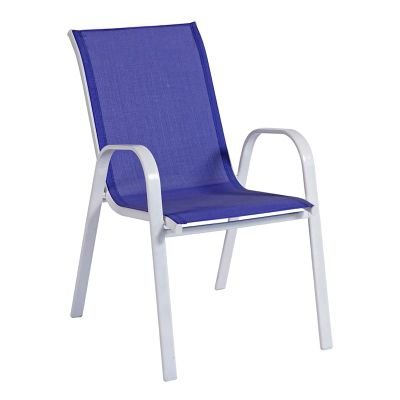 Blue Ass Chair