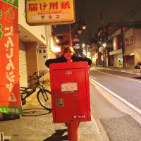 anju (@anju_nua1224) Twitter profile photo