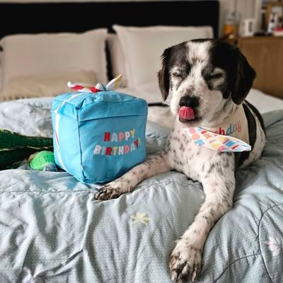 Jchiang1229's profile picture. 