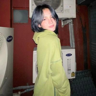 (ele/elu) ☀︎ obcecado por One Piece, dinossauros, Stray Kids e uns outros grupos de K-pop