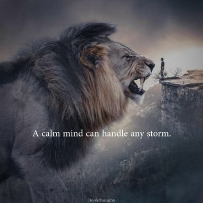 sonarpakhe's profile picture. Human