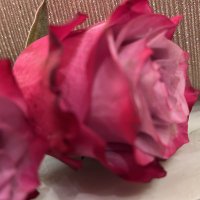 MON (@memo52907888) 's Twitter Profile
