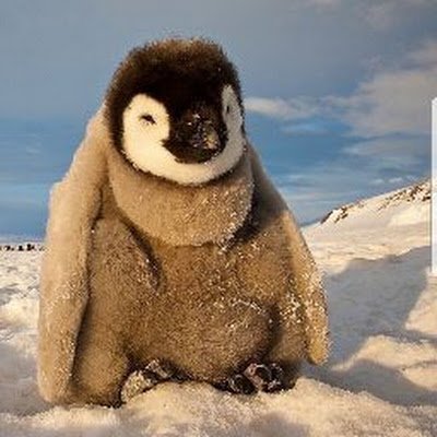 4meTesthel29497's profile picture. 