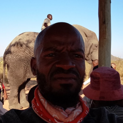 MushuPregare's profile picture. 