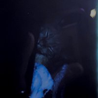 amelia (@_rynorko) 's Twitter Profile