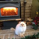 Deborah Doucette - @DeborahDoucette - Twitter