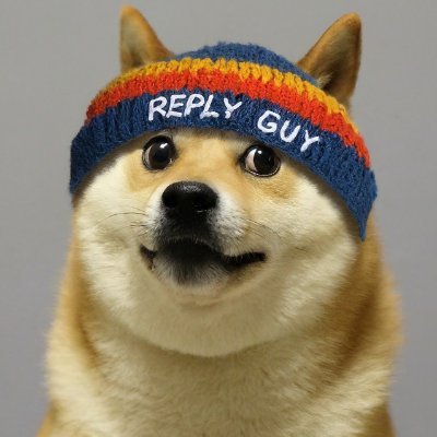Simple maffz - I love doge, i'm a guy, and i reply