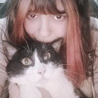 DaiZera 🌙 (@n0rdicsailor) 's Twitter Profile