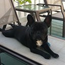 Meaghan Walsh - @Megwalshy - Twitter