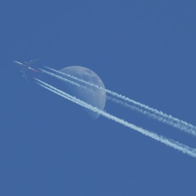 bluelion____'s profile picture. メカニック兼取締役(取締られ役)