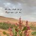 ام المثنى (@mh0532335939047) Twitter profile photo ام المثنى (@mh0532335939047) Twitter profile photo