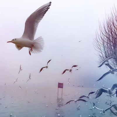 Frankmatt244021's profile picture. 