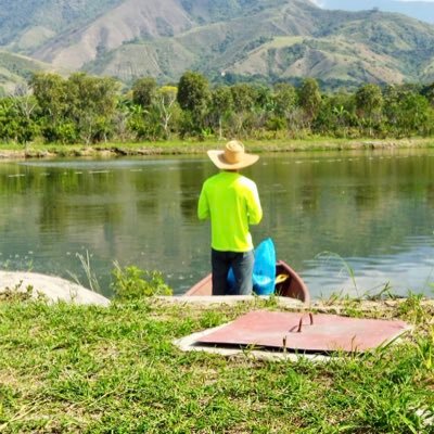 “la diferencia entre un genio y un loco es el éxito.”