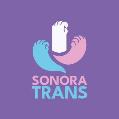Somos Sonora Trans, una asociación civil con el objeto del desarrollo social, promoción y defensa de los DD. HH. de las personas trans en nuestra sociedad.