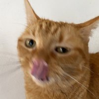 Fefe (@faiiiiryyy) 's Twitter Profile Photo Fefe (@faiiiiryyy) 's Twitter Profile Photo