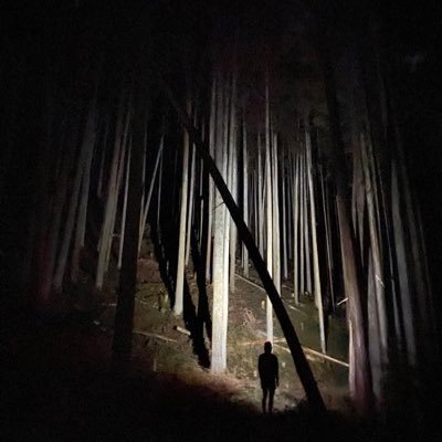 YM23661315's profile picture. 煩悩