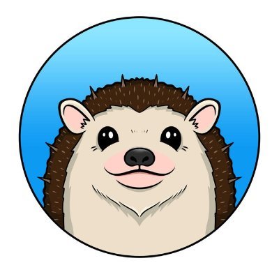 RIZO, Elon’s favorite hedgehog poised to take over the memesphere!