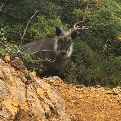 山、筋トレ、食事管理、中日ドラゴンズをつぶやきます。