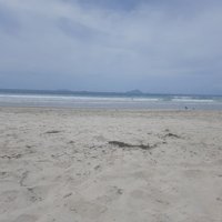 Rsgemini7 (@rsgemini7) 's Twitter Profile