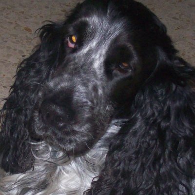 AlbiFilm's profile picture. 