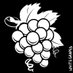 WhiteGrapes (@whitegrapes66) Twitter profile photo WhiteGrapes (@whitegrapes66) Twitter profile photo