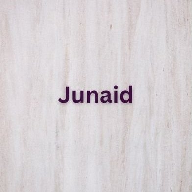 IeJunaid Profile Picture