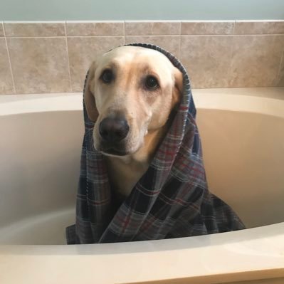 Bailey_Eckels7's profile picture. 