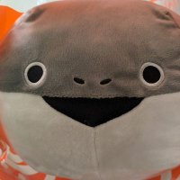 葵 (@shindoroming) 's Twitter Profile Photo 葵 (@shindoroming) 's Twitter Profile Photo