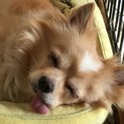 もや式さんのプロフィール画像