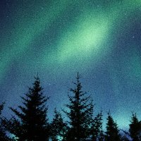 Northern Lights(@NorthernL1ght5) 's Twitter Profile Photo