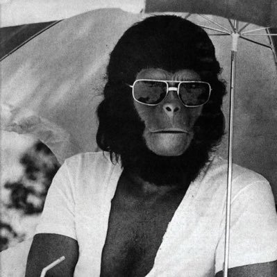 HelloGerard's profile picture. 