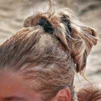 Amalia D (@amvr_pic) 's Twitter Profile