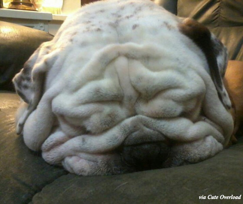 coiicoco's profile picture. 재미 찾아 삼만리~ 
친해지려먼 먼저 친한척!!
이벤트성이 많아요!!! 확인하시고 팔롱해주세요.