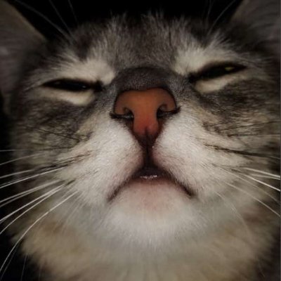 ArthurBetween's profile picture. Software Engineer