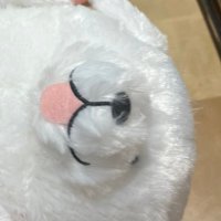 トロピカルキュートたちかわ (@tachikawa_ab) 's Twitter Profile