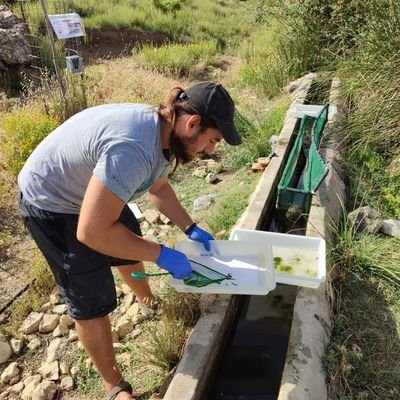 Environmental scientist. PhD estuarine fish communities. Research interest in amphibians and fishes. University of Murcia. Living in the rural world.