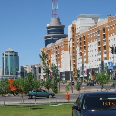 Rita1712331's profile picture. ALGO 3