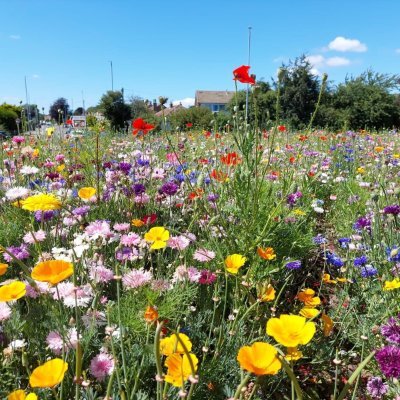 Leeds City Councils beautiful parks, woodlands, nature reserves and everything that goes on in them! 🌳

Enquiries: parks@leeds.gov.uk or 0113 3786002