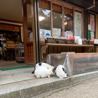 やさいさんのプロフィール画像